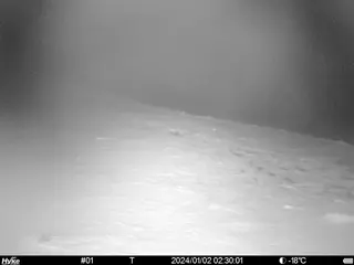 2024/01/02 02:30:01