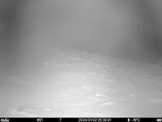 2024/01/02 05:30:01