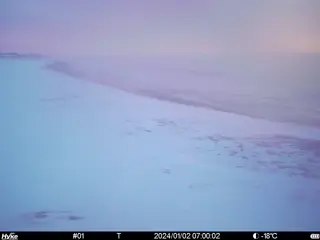 2024/01/02 07:00:02