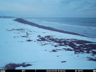2024/01/03 15:30:02