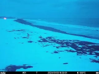 2024/01/03 16:30:01