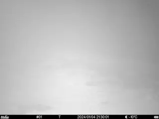 2024/01/04 21:30:01