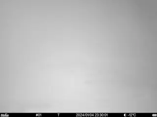 2024/01/04 23:30:01