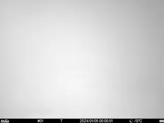 2024/01/05 00:00:01