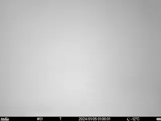 2024/01/05 01:00:01