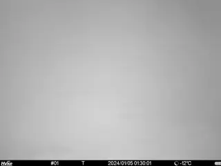 2024/01/05 01:30:01