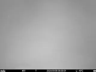 2024/01/05 05:00:01