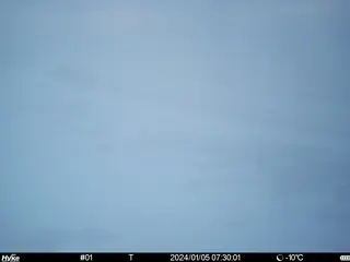 2024/01/05 07:30:01
