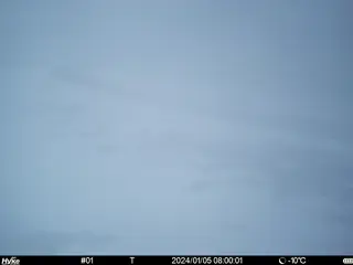 2024/01/05 08:00:01