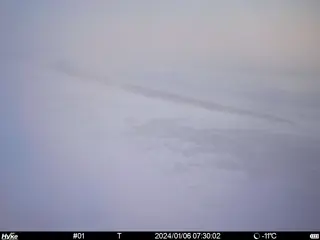 2024/01/06 07:30:02