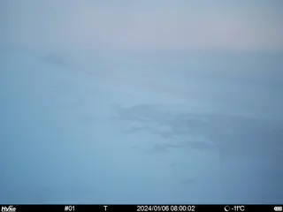 2024/01/06 08:00:02