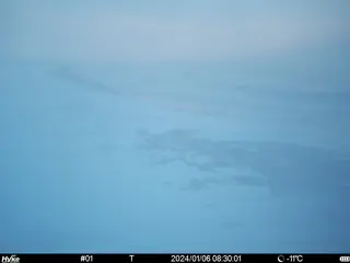 2024/01/06 08:30:01
