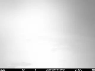 2024/01/07 04:00:01