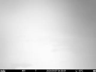 2024/01/07 04:30:01