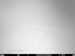2024/01/07 05:00:01