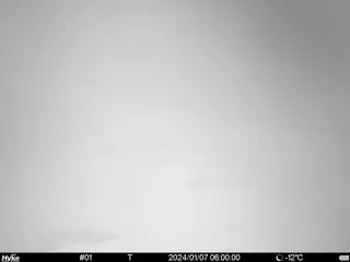 2024/01/07 06:00:00