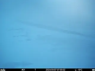 2024/01/07 07:00:02