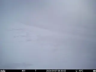 2024/01/07 08:30:02