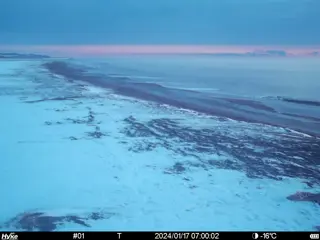 2024/01/17 07:00:02