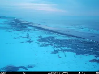 2024/01/18 07:00:02