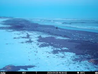 2024/01/20 16:30:02