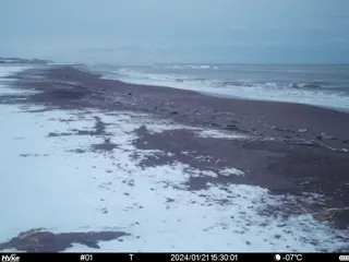 2024/01/21 15:30:01