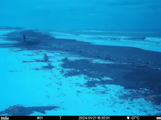 2024/01/21 16:30:01