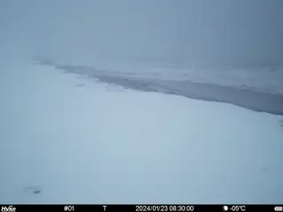 2024/01/23 08:30:00