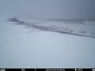2024/01/23 10:30:02