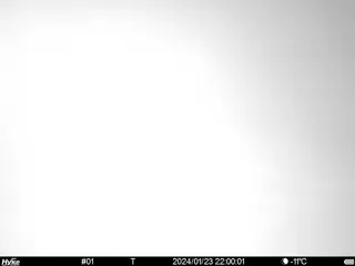 2024/01/23 22:00:00
