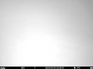 2024/01/23 23:30:01