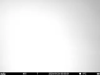 2024/01/24 00:00:01