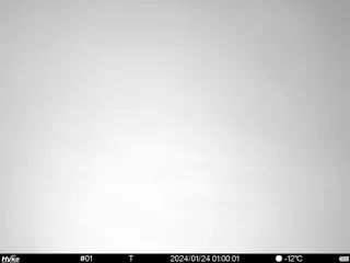 2024/01/24 01:00:01