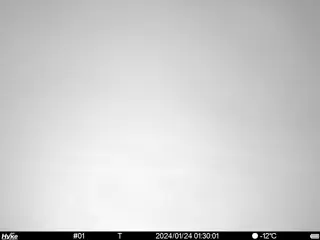 2024/01/24 01:30:01
