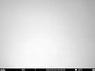 2024/01/24 02:00:01