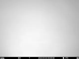 2024/01/24 03:00:00