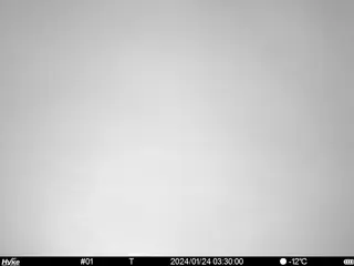 2024/01/24 03:30:00