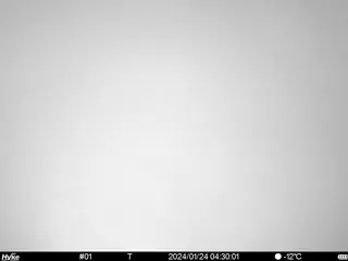 2024/01/24 04:30:00
