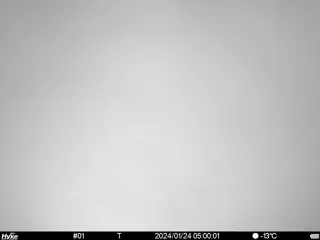 2024/01/24 05:00:00