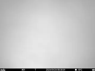 2024/01/24 05:30:01