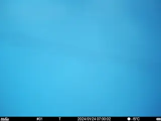 2024/01/24 07:00:02