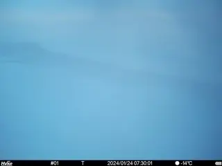 2024/01/24 07:30:01