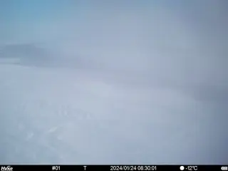 2024/01/24 08:30:01