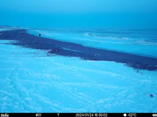 2024/01/24 16:30:01