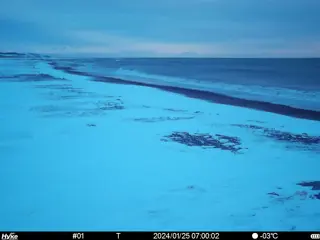 2024/01/25 07:00:02