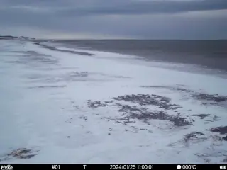 2024/01/25 11:00:01