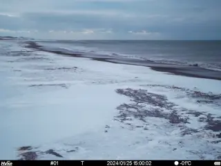 2024/01/25 15:00:02