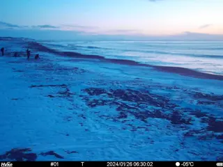 2024/01/26 06:30:02