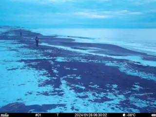 2024/01/28 06:30:02
