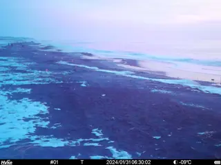 2024/01/31 06:30:02
